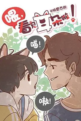 超萌人兽恋！《喂，看见耳朵啦》：漫画式治愈，霸道总裁猫妖与呆萌少女的甜蜜日常！