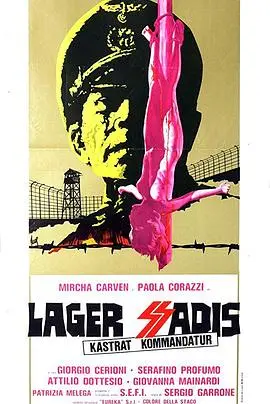 《纳粹军妓血泪史》：被历史掩盖的残酷真相，战争阴影下的女性悲歌